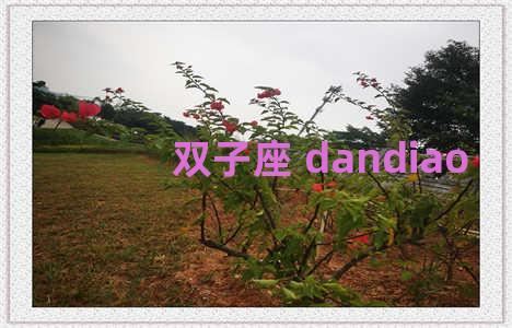 双子座 dandiao